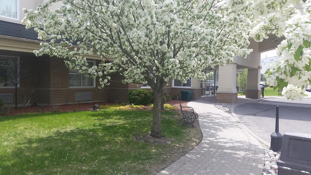 Days Inn By Wyndham Ottawa Airport Εξωτερικό φωτογραφία