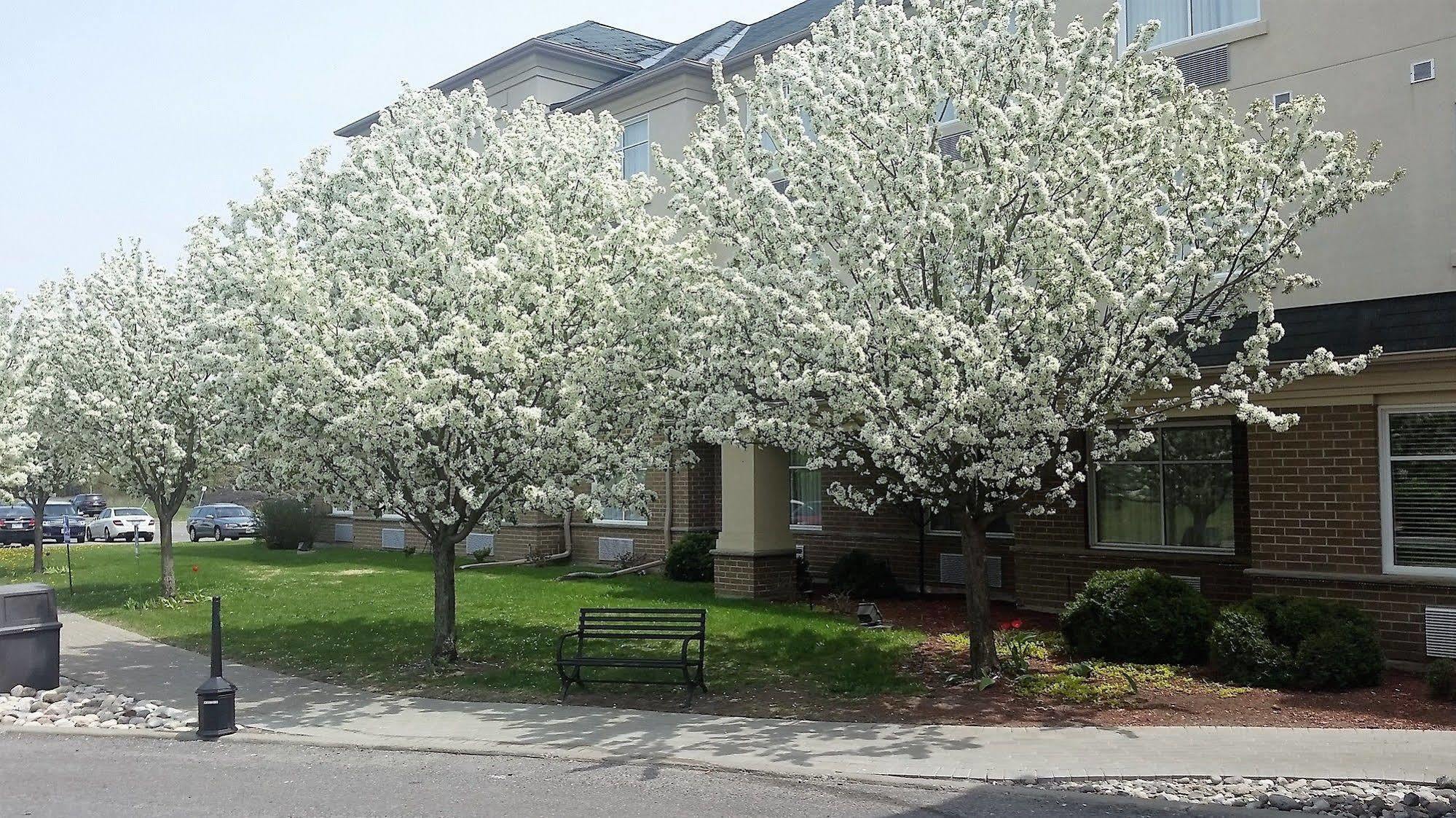 Days Inn By Wyndham Ottawa Airport Εξωτερικό φωτογραφία